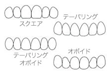 歯の形