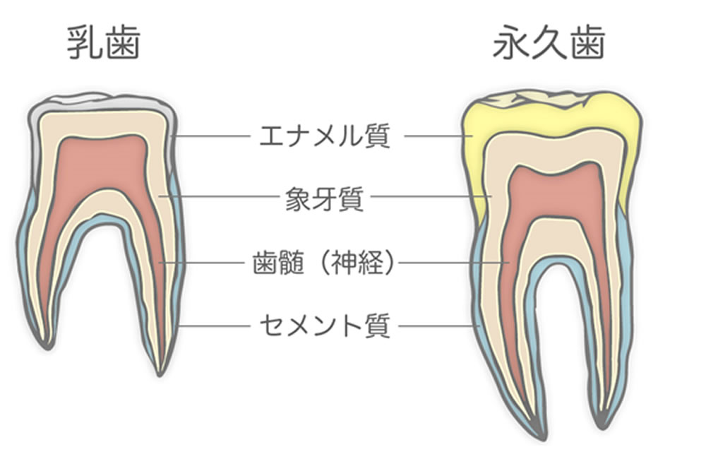 豊富なおもちゃ